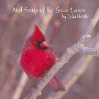 Bird Songs of the Great Lakes